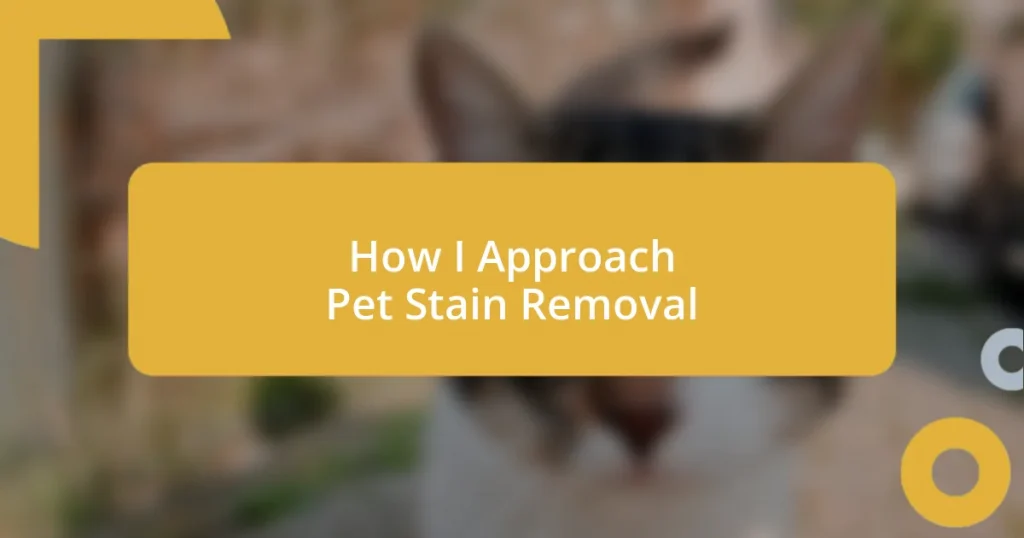 How I Approach Pet Stain Removal