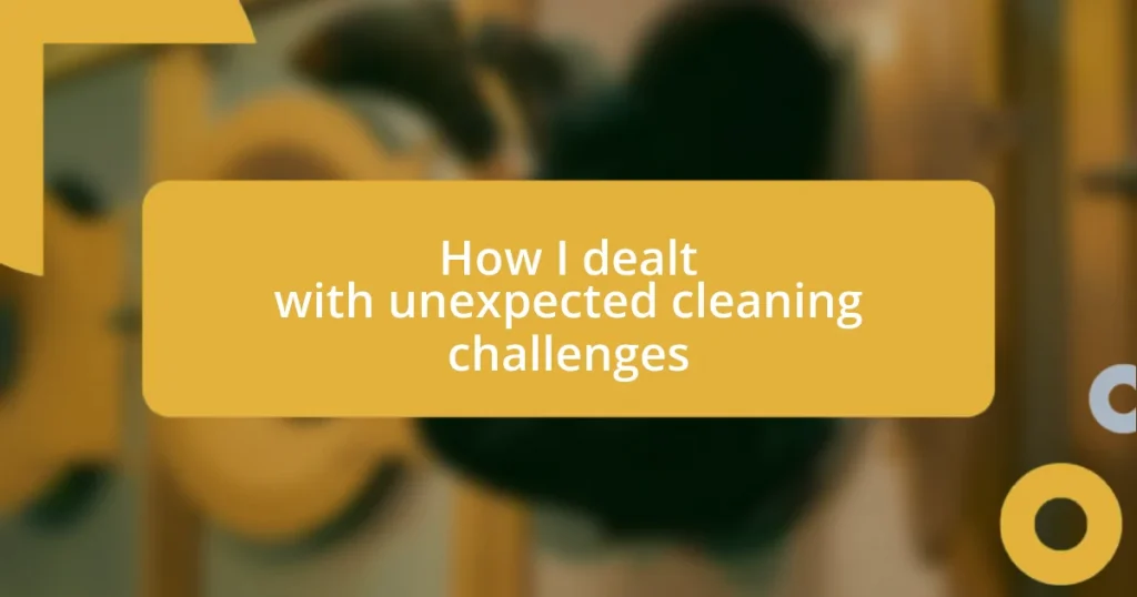 How I dealt with unexpected cleaning challenges