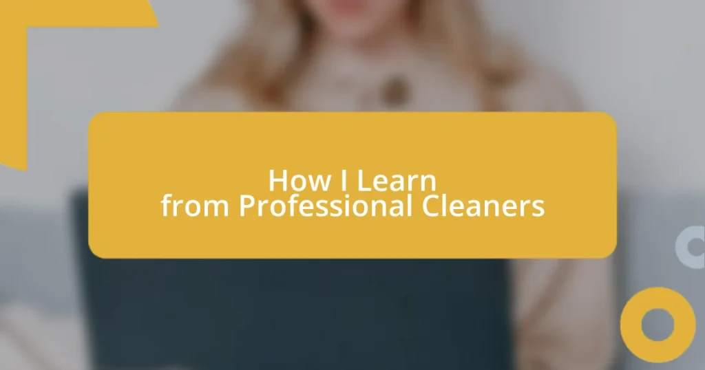 How I Learn from Professional Cleaners