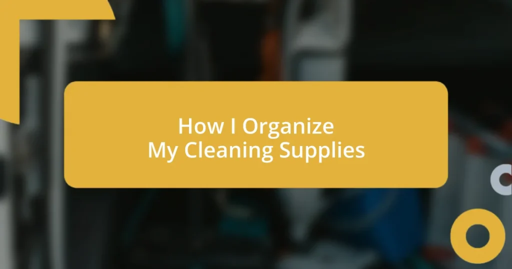 How I Organize My Cleaning Supplies