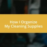 How I Organize My Cleaning Supplies