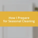 How I Prepare for Seasonal Cleaning