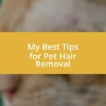 My Best Tips for Pet Hair Removal