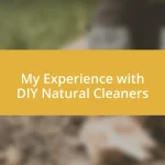 My Experience with DIY Natural Cleaners