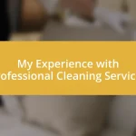 My Experience with Professional Cleaning Services