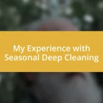 My Experience with Seasonal Deep Cleaning