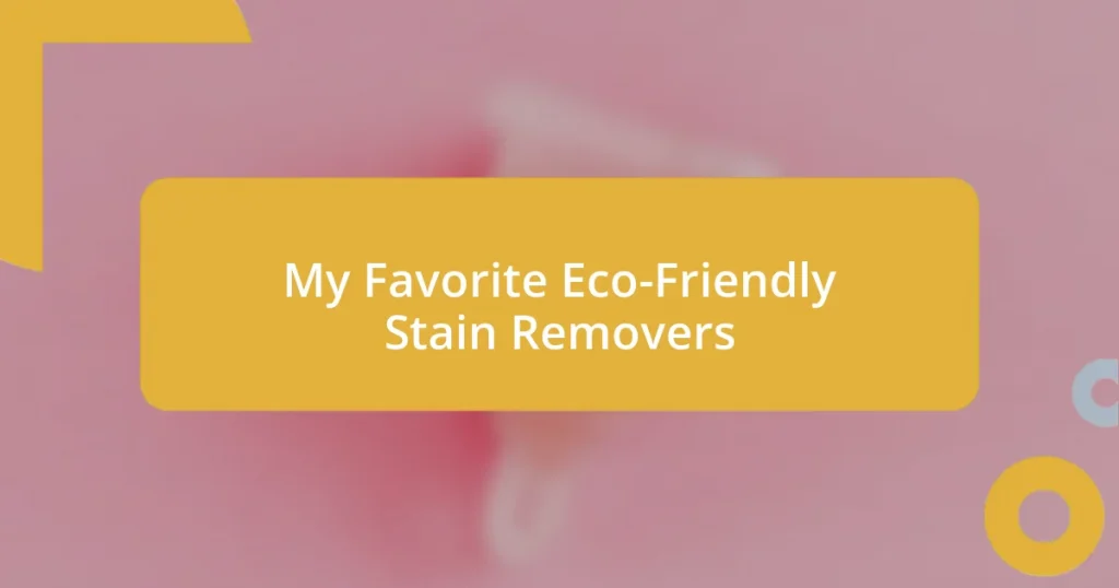 My Favorite Eco-Friendly Stain Removers