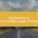 My Journey to Eco-Friendly Carpet Cleaning