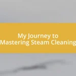 My Journey to Mastering Steam Cleaning