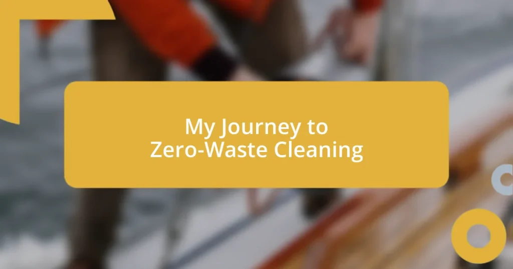 My Journey to Zero-Waste Cleaning