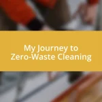 My Journey to Zero-Waste Cleaning