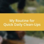 My Routine for Quick Daily Clean-Ups