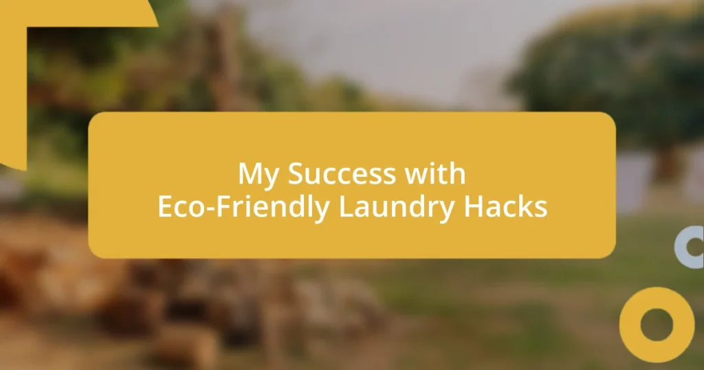 My Success with Eco-Friendly Laundry Hacks