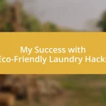 My Success with Eco-Friendly Laundry Hacks