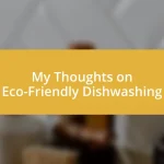 My Thoughts on Eco-Friendly Dishwashing