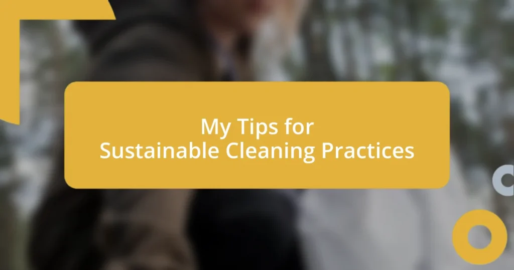 My Tips for Sustainable Cleaning Practices