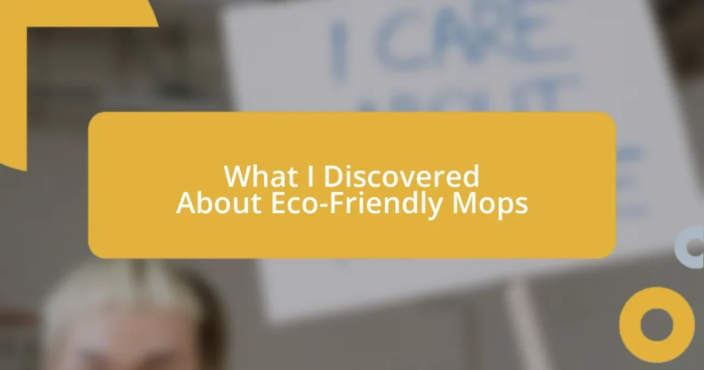 What I Discovered About Eco-Friendly Mops