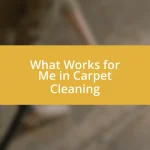 What Works for Me in Carpet Cleaning