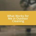 What Works for Me in Outdoor Cleaning