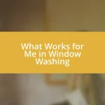 What Works for Me in Window Washing